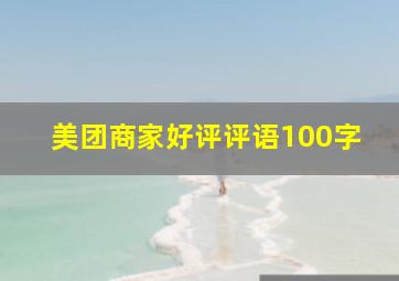 美团商家好评评语100字