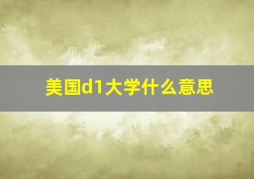 美国d1大学什么意思