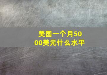 美国一个月5000美元什么水平