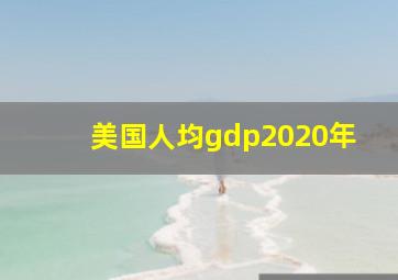 美国人均gdp2020年