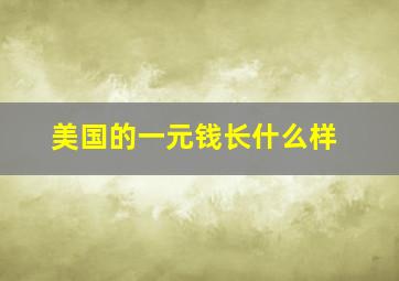 美国的一元钱长什么样