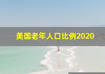 美国老年人口比例2020