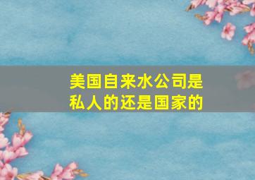 美国自来水公司是私人的还是国家的