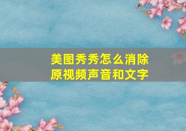 美图秀秀怎么消除原视频声音和文字