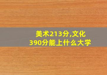 美术213分,文化390分能上什么大学