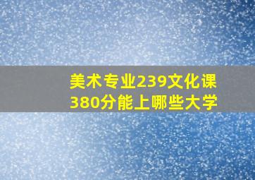 美术专业239文化课380分能上哪些大学