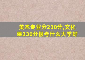 美术专业分230分,文化课330分报考什么大学好