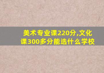 美术专业课220分,文化课300多分能选什么学校