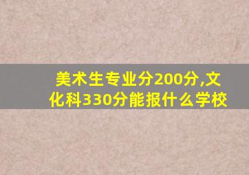 美术生专业分200分,文化科330分能报什么学校