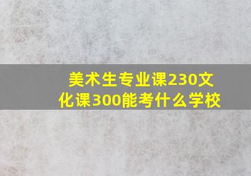 美术生专业课230文化课300能考什么学校