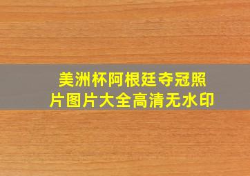 美洲杯阿根廷夺冠照片图片大全高清无水印