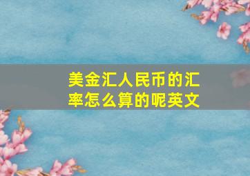 美金汇人民币的汇率怎么算的呢英文