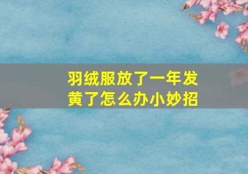 羽绒服放了一年发黄了怎么办小妙招