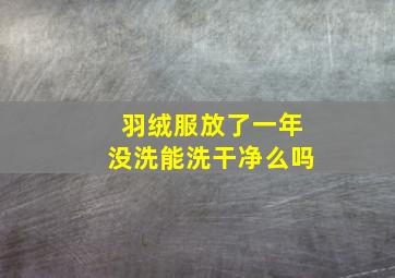 羽绒服放了一年没洗能洗干净么吗