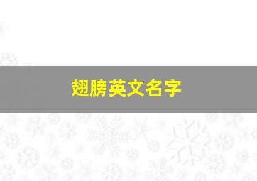 翅膀英文名字