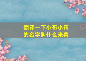 翻译一下小布小布的名字叫什么来着