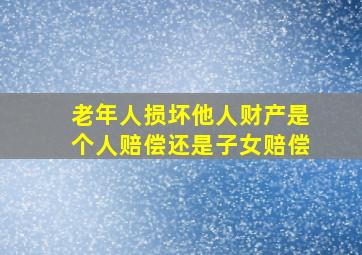 老年人损坏他人财产是个人赔偿还是子女赔偿