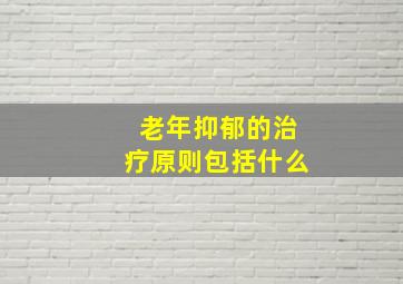 老年抑郁的治疗原则包括什么