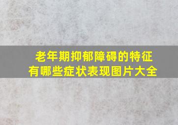 老年期抑郁障碍的特征有哪些症状表现图片大全