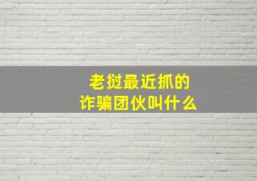 老挝最近抓的诈骗团伙叫什么