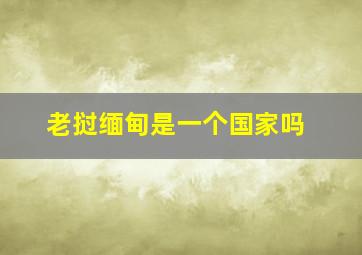 老挝缅甸是一个国家吗