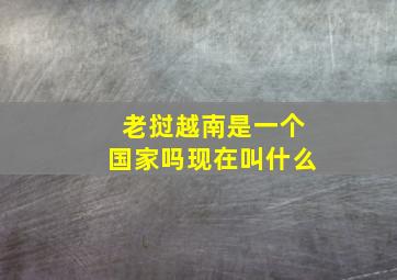 老挝越南是一个国家吗现在叫什么