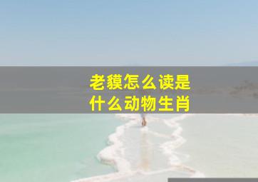 老貘怎么读是什么动物生肖