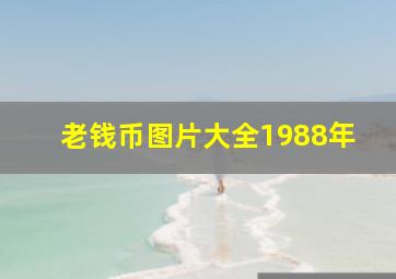 老钱币图片大全1988年