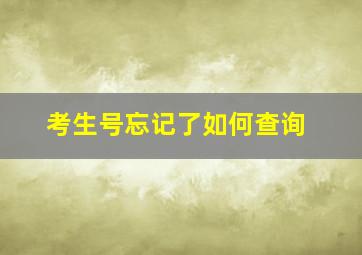 考生号忘记了如何查询