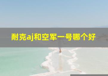 耐克aj和空军一号哪个好