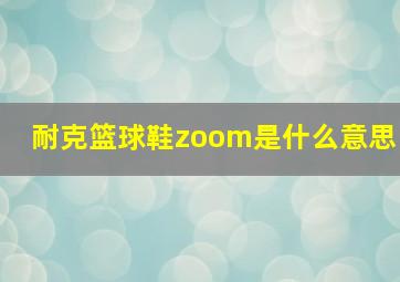 耐克篮球鞋zoom是什么意思