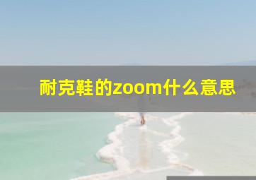 耐克鞋的zoom什么意思