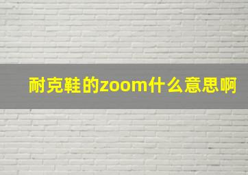 耐克鞋的zoom什么意思啊