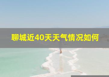 聊城近40天天气情况如何