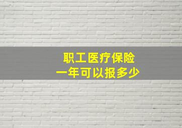 职工医疗保险一年可以报多少