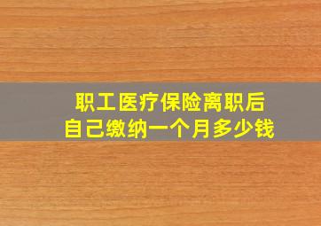 职工医疗保险离职后自己缴纳一个月多少钱