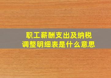 职工薪酬支出及纳税调整明细表是什么意思