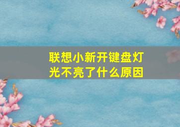 联想小新开键盘灯光不亮了什么原因