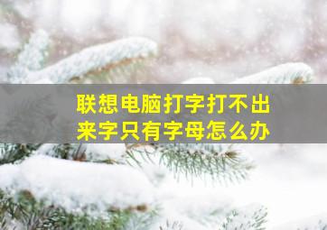 联想电脑打字打不出来字只有字母怎么办