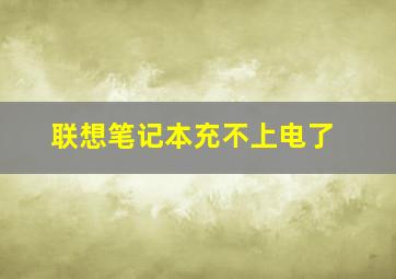 联想笔记本充不上电了