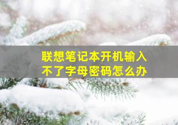 联想笔记本开机输入不了字母密码怎么办