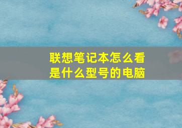 联想笔记本怎么看是什么型号的电脑