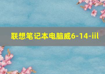 联想笔记本电脑威6-14-iil