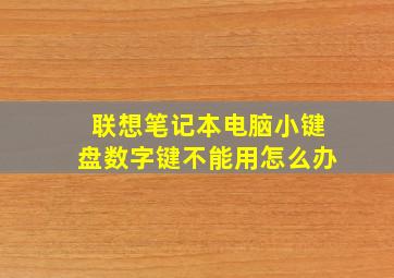 联想笔记本电脑小键盘数字键不能用怎么办