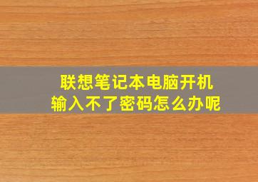 联想笔记本电脑开机输入不了密码怎么办呢