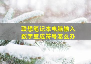 联想笔记本电脑输入数字变成符号怎么办