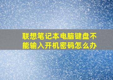 联想笔记本电脑键盘不能输入开机密码怎么办