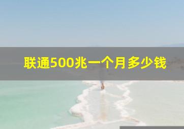 联通500兆一个月多少钱