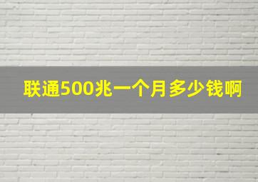 联通500兆一个月多少钱啊