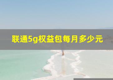 联通5g权益包每月多少元